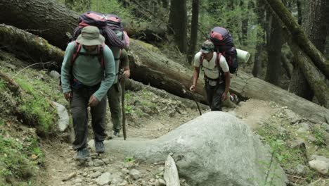 Trekkers-go-on-the-trail-in-the-Himalayan-mountains