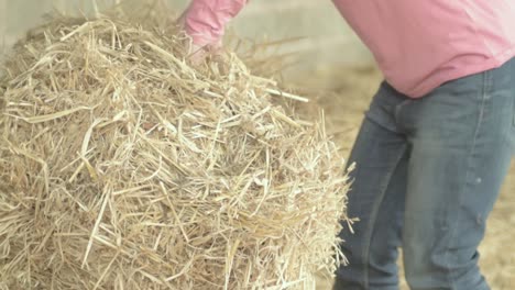 Woman-moving-bale-of-hay-in-barn