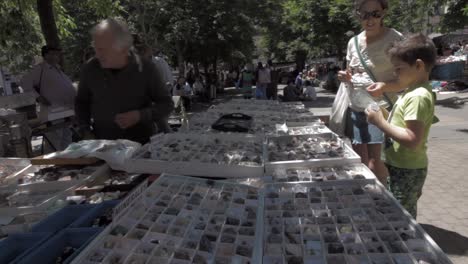 young-boy-choosing-minerals-to-buy-from-a-market-stall-in-Madrid