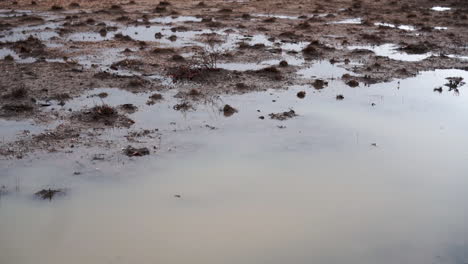 Drought-stricken-Australian-outback-drenched-in-water-following-large-amount-of-rain