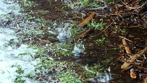 A-line-of-water-dripping-into-a-puddle-of-water-on-the-ground-with-snow,-grass-and-leaves