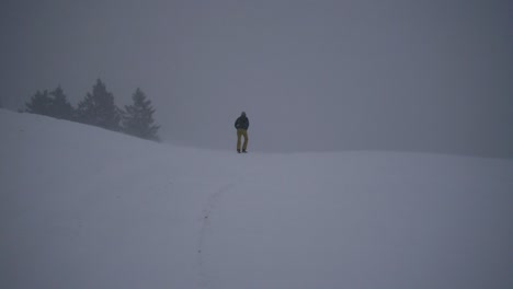 Frau-Wandert-Durch-Schneesturm