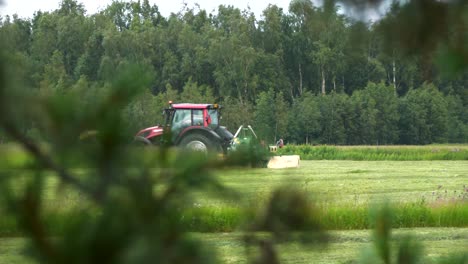 Harvesting-season-in-Europe,-tractor-with-cutting-boards-disappear-behind-pine-sprigs