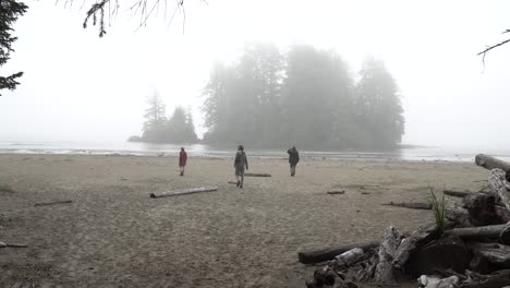 Three-young-men-explore-a-sandy-tree-lined-beach-near-Tofino-Vancouver-Island,-Canada,-Pacific-Rim-National-Park