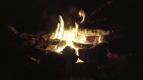 Bonfire-at-night-in-a-forest-in-summer,-medium-shot-4K
