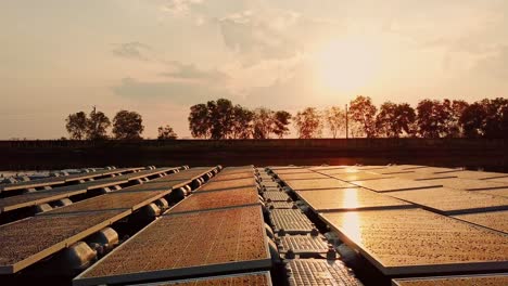Schwimmendes-Solarparkprojekt-Auf-Einem-Asiatischen-See,-Reflektierte-Sonne-Bei-Sonnenuntergang,-Lufttransportwagen