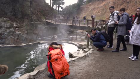 Touristen-Beobachten-Und-Fotografieren-Japanische-Schneeaffen-Im-Jigokudani-Park-In-Nagano,-Japan-–-Weitwinkelaufnahme