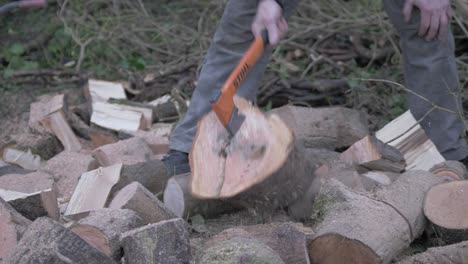 Tough-man-chopping-logs-within-nature