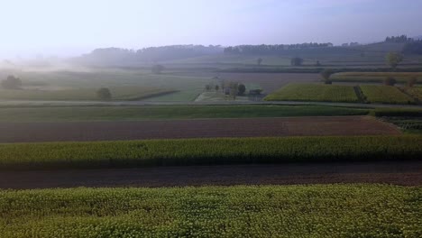 Crop-flowery-fields-on-Tuscan-countryside-in-Italy-on-a-foggy-morning,-Aerial-dolly-right-reveals-shot