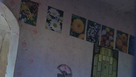 Posters-With-Flower-Images-On-The-Wall-In-An-Old-Abandoned-House