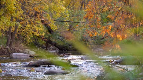 Herbstfarben-Entlang-Des-Boulder-Creek