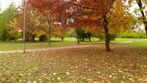 Drohne-Fliegt-Unter-Wunderschönen-Herbstbäumen,-Während-Blätter-Auf-Den-Boden-Fallen