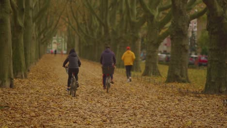 Couple-Bicycle-Riding-Along-An-Avenue-Of-Autumn-Trees-Lining-A-Path-With-Yellow-Leaves,-Wide-Shot