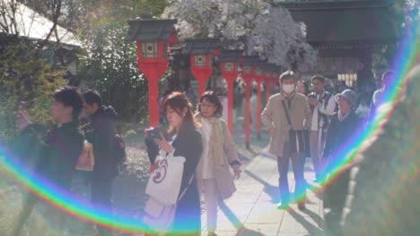 Japanische-Touristen-Betrachten-Sakura-Kirschblüten-Am-Hirano-Jinja-Schrein-Mit-Regenbogenfackeln-Eines-Vintage-Kameraobjektivs-Tagsüber-In-Kyoto,-Japan