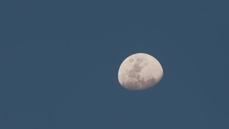 Close-up-of-the-moon-moving-slowly,-captured-during-the-day-with-a-clear-blue-sky,-in-1080p