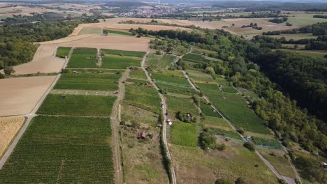 Aerial-View-of-Vineyards-and-Fields-in-Baden-Wuerttemberg,-Germany