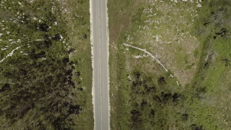 Top-down-Shot-Of-The-Empty-Asphalt-Road-In-Reguengo-Do-Fetal,-Batalha,-Portugal---aerial-drone