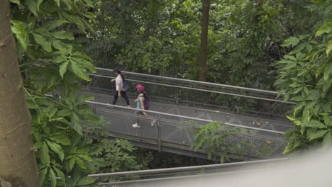 Blick-Auf-Touristische-Wanderer,-Die-Entlang-Des-Verbindungswegs-In-Southern-Ridges,-Singapur,-Spazieren