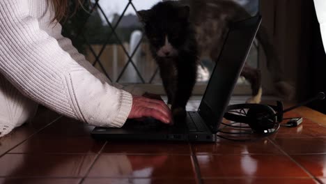 Mujer-Trabajando-Desde-Casa-En-Una-Laptop-Con-Su-Gato