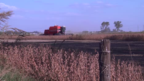 A-red-combine-harvests-soybean-in-a-field-in-rural-Santa-Fe,-Argentina