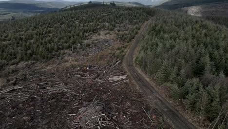 Following-an-access-road,-Debris-piles-litter-a-recently-clear-cut-forest-management-area,-aerial