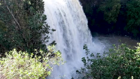 Die-Riesigen-Whangarei-Wasserfälle-Nach-Einem-Regenguss-In-Der-Gesamten-Region-Northland,-Neuseeland,-Aotearoa