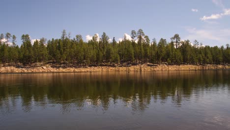 Treeline-of-the-water-bank-at-Willow-Spring-in-Arizona,-USA-Southwest