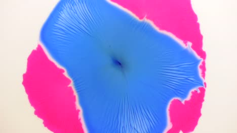 Blue-cleaves-apart-Pink-then-steals-the-show---For-more,-search-"AbstractVideoClip"-using-the-quotation-marks