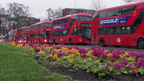 Eine-Flotte-Von-Doppeldecker-E-Bussen-Parkt-Entlang-Der-Mit-Blumen-Geschmückten-Straße