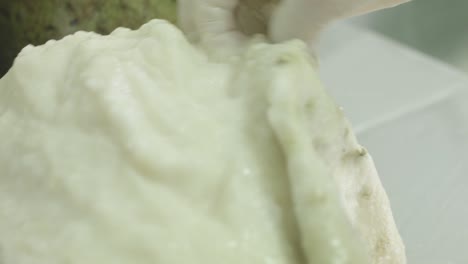 soursop-peeling-close-up-fruit-pulp-factory