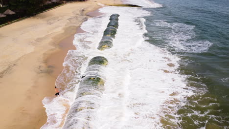 Mossy-geo-tube-on-sandy-coastal-beach-of-Vietnam-to-protect-land-from-ocean-waves