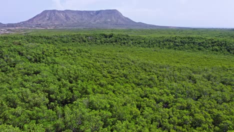 Nationalpark-El-Morro-Mit-Dichtem-Grünen-Wald-In-Montecristi,-Dominikanische-Republik