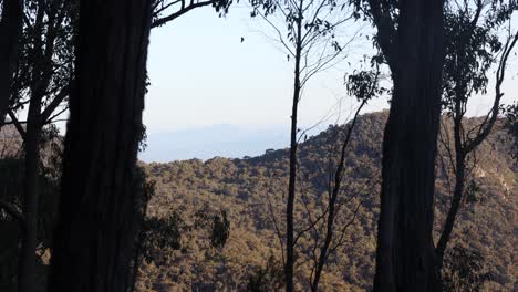 A-view-of-mount-buller-from-mount-Samaria-in-Victoria-Australia