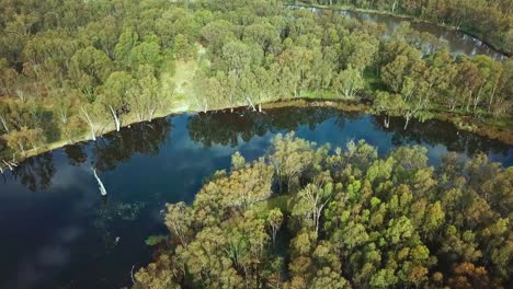 Aerial-view-of-the-Ovens-River-just-before-it-meets-the-Murray-River-in-north-eastern-Victoria,-Australia