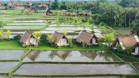 aerial-of-rice-fields-hut-villas-in-Ubud-Bali-at-sunrise-with-sun-reflecting-over-water,-aerial