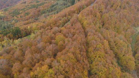 Aerial-footage,-long-road-in-the-middle-of-the-Balkans-woods-during-the-autumn,-Bulgaria