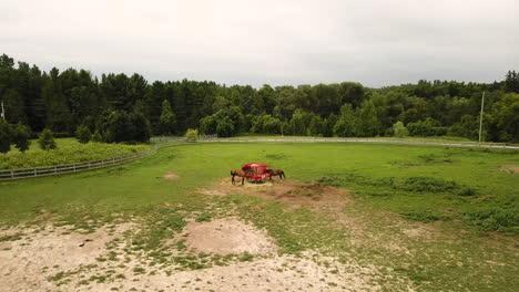 Aerial-view-of-horses-eating-on-a-farm's-green-pasture