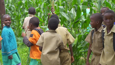 Afrikanische-Kinder-Lächeln-Und-Lachen-Draußen-In-Einem-Maisfeld