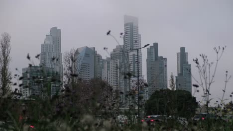 STEADY-Puerto-Madero-skyline-and-traffic-behind-out-of-focus-vegetation