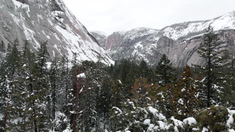 Aerial-drone-footage-flying-through-treetops-in-Yosemite-Valley-in-winter,-surrounded-by-snowy-granite-cliffs-on-each-side