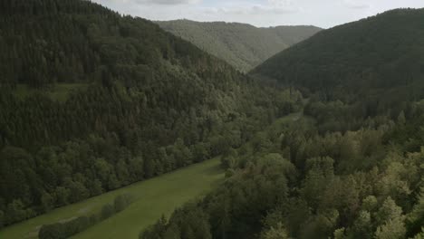 Drohnenantenne-Des-Nationalparks-Harz-In-Niedersachsen,-Deutschland,-Europa
