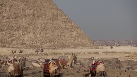 Schöne-Pyramiden-Von-ägypten-In-Afrika