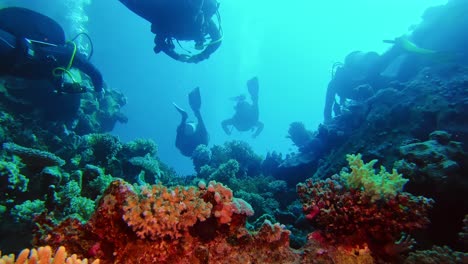 Gruppe-Von-Tauchern,-Die-Von-Hinten-über-Dem-Korallenriff-Schwimmen