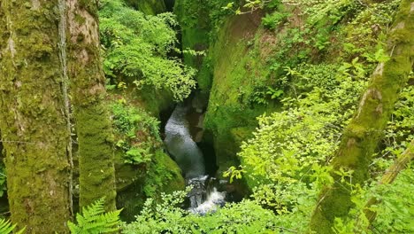 River-in-a-narrow-gorge-with-nature-all-around-it