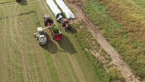 4K-aerial-view-following-from-behind-of-a-harvester-harvesting-hay-into-a-wagon