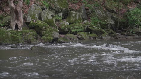 Wissahickon-Creek,-Wasser-Fließt-über-Felsen-An-Bäumen-Vorbei