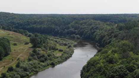 Aerial-View-of-A-River-Bordered-by-Thick-Forest