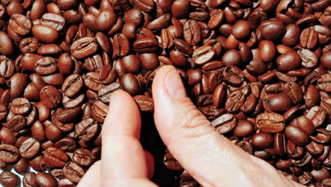 Coffee-beans-are-checked-by-hand-for-their-quality