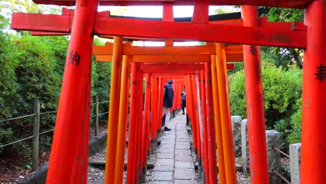 Walking-through-the-red-Torii-Gate-at-Nezu-Shrine-park-in-Tokyo-city-Japan,-B-roll,-4K