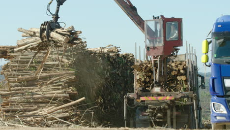 Crane-operator-skillfully-stacks-eucalyptus-lumber-on-truck